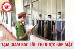 tính năng nổi bật đá gà bị tạm giam bao lâu