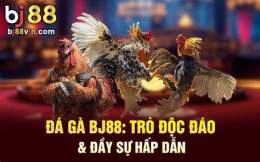 tính năng nổi bật đa gà bj88