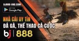 tính năng nổi bật đá gà bj888