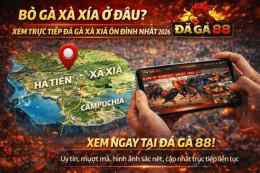 tính năng nổi bật đá gà bồ xà xía