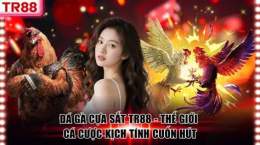 tính năng nổi bật đá gà c 2