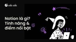 tính năng nổi bật dá gà c1
