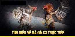 tính năng nổi bật đá gà c3 ngày 12 tháng 1 trận 15
