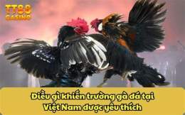 tính năng nổi bật đa gà c3 trận 21
