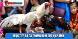 tính năng nổi bật đá gà c3 trực tiếp thomo