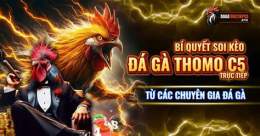 tính năng nổi bật da ga c5 hom nay