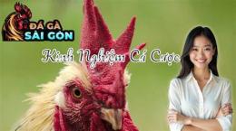 tính năng nổi bật da gà c6