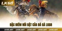tính năng nổi bật đá gà c8
