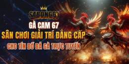 tính năng nổi bật đá gà cam 67 cam