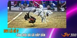 tính năng nổi bật đá gà chấm net