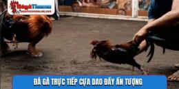 tính năng nổi bật đá gà chọi trực tiếp