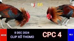 tính năng nổi bật đá gà cpc trực tiếp