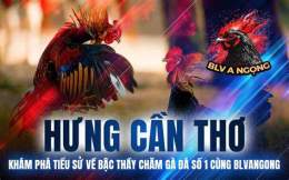 tính năng nổi bật đá gà cpc3 27 5