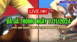 tính năng nổi bật đá gà cpc3 hôm nay