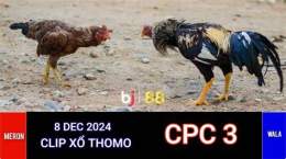 tính năng nổi bật đá gà cpc3 ngày 8/12