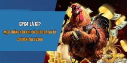 tính năng nổi bật da ga cpc4