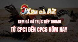 tính năng nổi bật đá gà cpc6 hôm nay