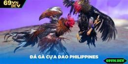 tính năng nổi bật da ga cua da0