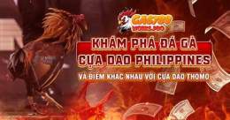tính năng nổi bật đá gà cựa dao philippines 388