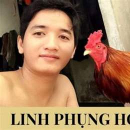 trai ga da phung hoang ke 2015