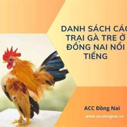trai ga da
