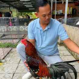 trại gà duyên ti đá c3