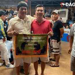 trận gà xám đá với gà phúc bình dương