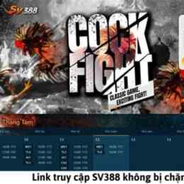 trang đá gà sv368