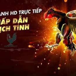 trang da ga truc tiep