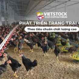 trang trai ga da