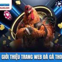 trang web đá gà