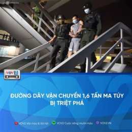 triệt phá đường dây đá gà