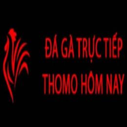 trự tiếp đá gà