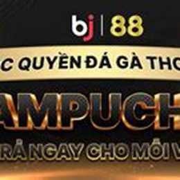 trực đá gà thomo 88