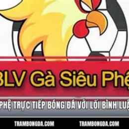 truc tiep bong da ga sieu phe