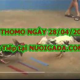 trực tiếp đá gà bồ 67 hôm nay