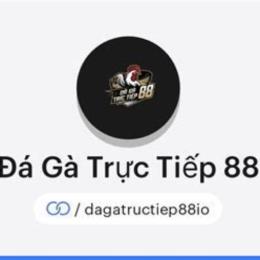 trực tiếp đá gà bồ 88