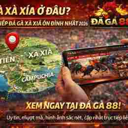 trực tiếp đá gà bồ xà xía