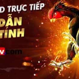trực tiếp đá gà có bình luận viên hôm nay