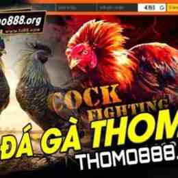 truc tiep da ga don