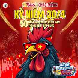 trực tiếp đá gà tân hôn