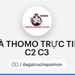 trực tiếp đá gà thomo c1 c2 c3 c4
