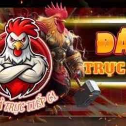 trực tiếp da ga tonhon