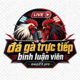 trực tiếp đá gà trang bình luận viên