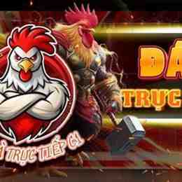 trực tiếp đá gà tre 67