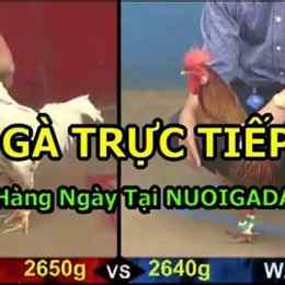 truc tiep ga da c2
