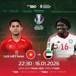 trực tiếp hôm nay đá gà