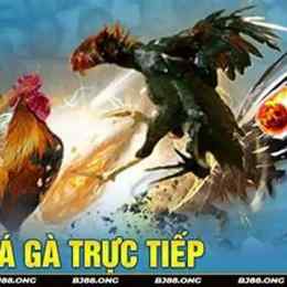 truc tip da ga 88