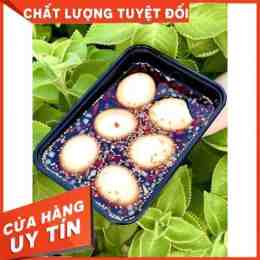 trứng gà lòng đào cắt đôi