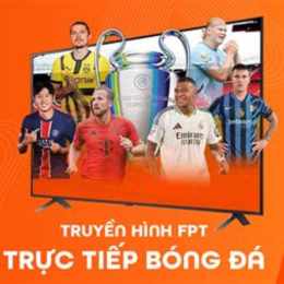 truyền hình trực tiếp đá gà